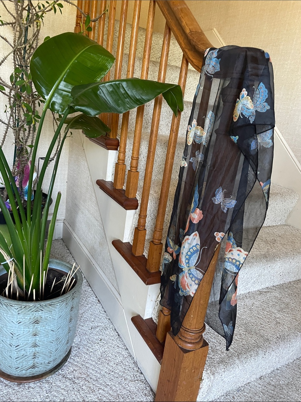 Longline Black Butterfly Print Sheer Scarf